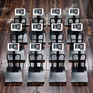 Digital Platform Weighing Scale (100-300Kgs)