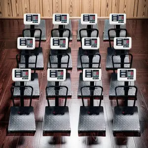 Digital Platform Weighing Scales (100-300kg)