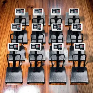 Digital Platform Weighing Scales (100kg-300kg)