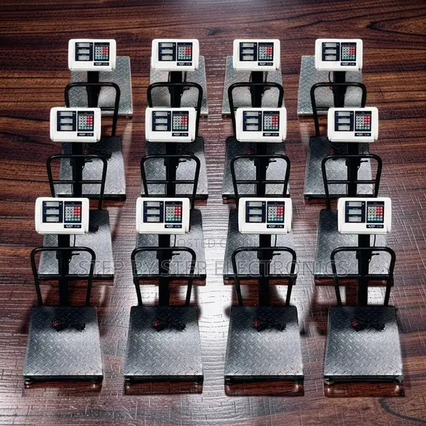 Digital Platform Weighing Scales (100kg-300kg) - 1