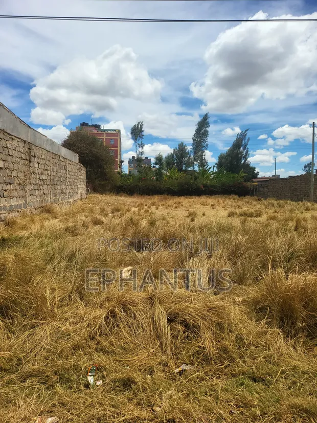 40x60 Plots for Sale, Kenyatta Road, Murera - 1