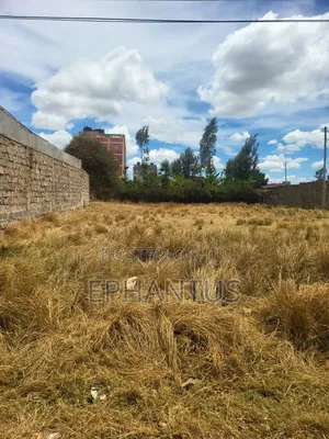 Vipande 40x60 Vinauzwa, Barabara ya Kenyatta, Murera