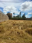 40x60 Plots for Sale, Kenyatta Road, Murera - 1