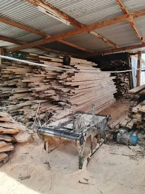 Timber Logs and Poles for Fencing