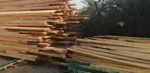 Timber Logs and Poles for Fencing