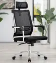 Kiti cha Ofisi cha Mtendaji cha Ergonomic chenye Mgongo Mrefu - Nyeusi - 3