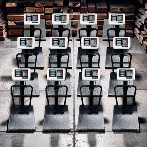 Digital Platform Weighing Scales (100kg-300kg)