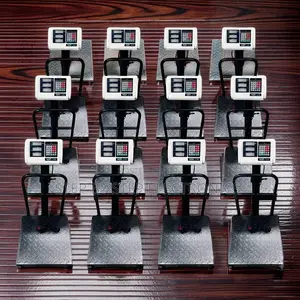Digital Platform Weighing Scales (100kg-300kg)