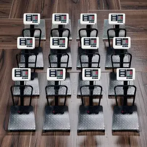 Digital Platform Weighing Scales (100-300Kgs)