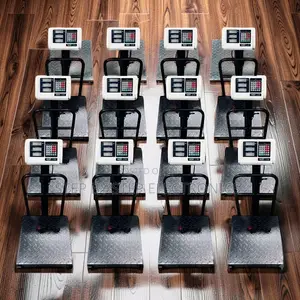 Digital Platform Weighing Scales (100kg-300kg)