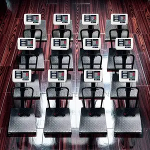 Digital Platform Weighing Scales (100kg-300kg)