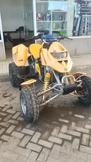 Can-Am DS 650 Sport Quad (2002)