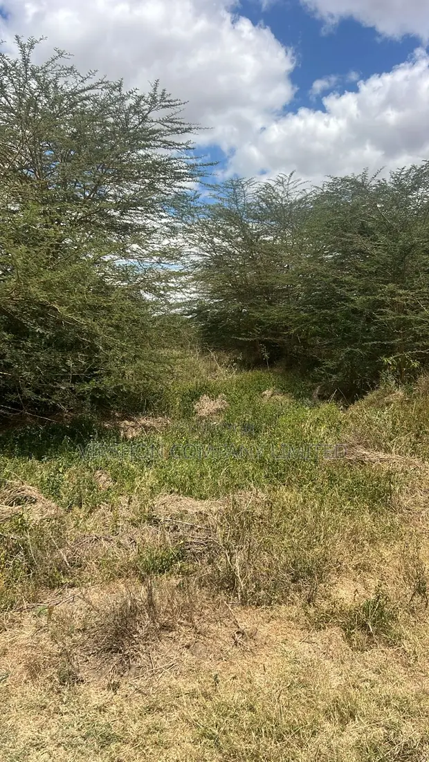 5 Acres Land for Sale Near Kinanie Leather Park - 1