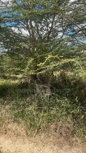 Eneo la Eka 5 kwa Uuzaji Karibu na Kinanie Leather Park