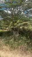 Eneo la Eka 5 kwa Uuzaji Karibu na Kinanie Leather Park - 3