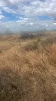 5 Acres Land for Sale - Kinanie - 2