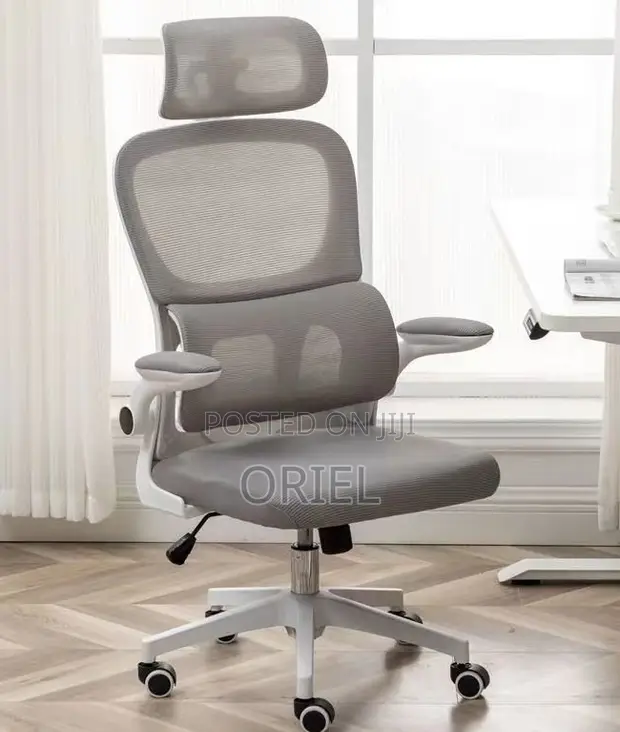Orthopedic Office Chair - Ergonomic High-Back Desk Seat - 1