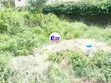 Kitalu cha 1/8 Eka kwa Uuzaji Bamburi, Mtamboni - 2