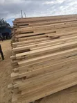 Mbao ya Cypress - Full Gauge - 1