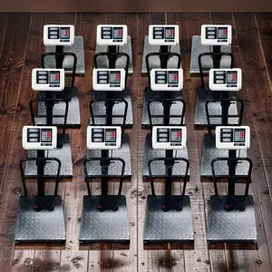 Digital Platform Weighing Scale (100kg-300kg)