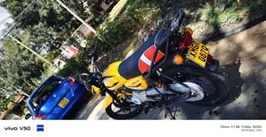 Bajaj Boxer 150 UG 2026 Njano