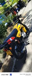 Bajaj Boxer 150 UG 2026 Njano - 5