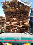 Bluegum Eucalyptus Timber - 1