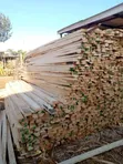 Bluegum Eucalyptus Timber - 2
