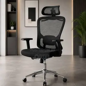 High-Back Orthopedic Ergonomic Office Chair - Black
