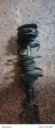 Complete Shock Probox - 2