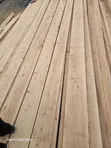 Pine Timber for Wholesale - 1