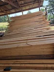 Pine Timber for Wholesale - 2
