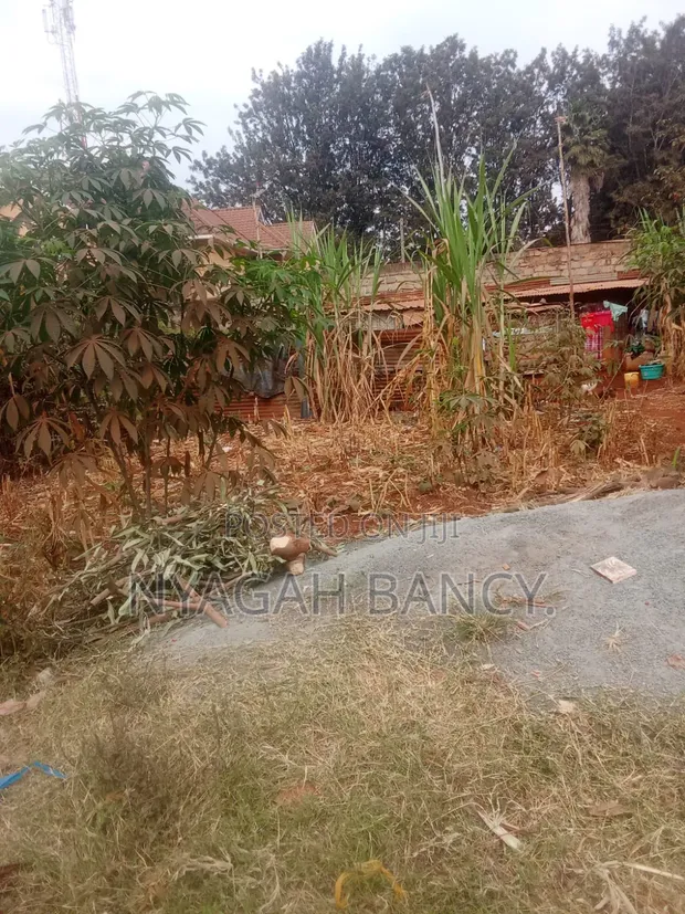 Kitalu cha 50x100 kinauzwa Ngoingwa, Thika - 1