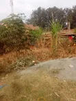 Kitalu cha 50x100 kinauzwa Ngoingwa, Thika - 2