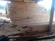 Mbao za Cypress na Bluegum Zinauzwa - 1