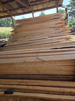 Mbao za Cypress na Bluegum Zinauzwa