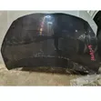 Toyota Aqua Bonnet/Hood - 2