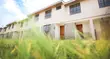 4 Bedroom House for Sale in Avenue Park, Embakasi - 3