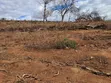 Embu County: 17 Acres Agricultural Farm with Dam in Mbeere - 3