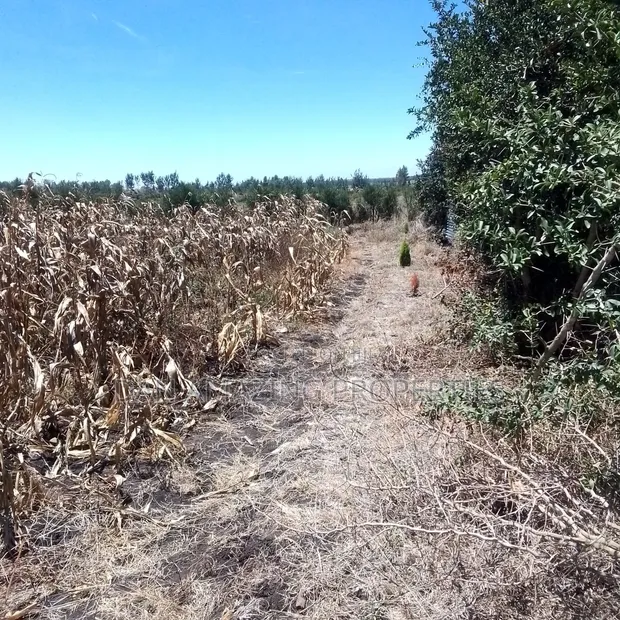 1/2 Acre Plot for Sale Near Happyland School, Kiserian-Isinya Road - 1