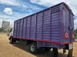 Isuzu FRR Blue Power Lori Rigid 2024 - 3