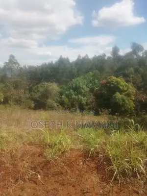 Meru Nkubu 1 Acre Farmland for Sale