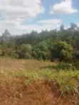 Meru Nkubu 1 Acre Farmland for Sale - 1