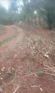Meru Nkubu 1 Acre Farmland for Sale - 4