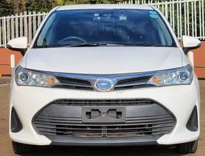 Toyota Corolla Fielder 2019 Hybrid