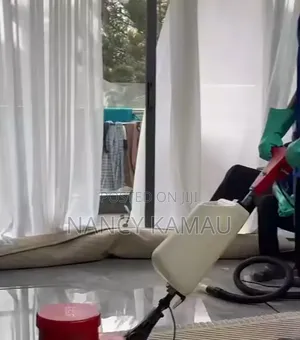 Routine House Cleaning Services