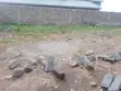Kiwanja kwa Uuzaji - Mji wa Gilgil 50x100 - 1