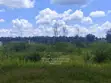 Luxury 1/8 Acre Plots for Sale in Ruiru near Tatu City - 2