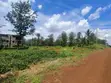 Viwanja vya Kifahari vya Eka 1 kwa Uuzaji Ruiru Karibu na Tatu City - 5