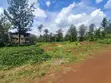 High Density 1/4 Acre Plots for Sale in Ruiru near Tatu City - 2